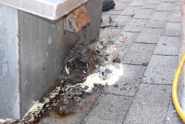 Image of grease accumulation on a commercial roof