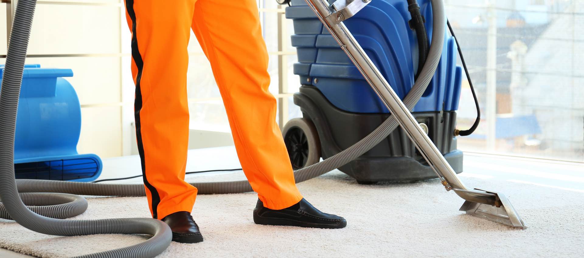 Carpet cleaning services 