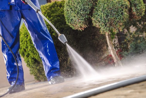 Professional pressure washing brick path